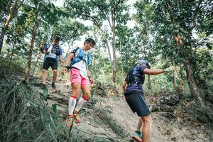 BIB: 
                            <button type="button" onclick="openModal(25978739)" class="btn btn-primary btn-sm float-right btn-popup" data-toggle="modal" data-target=".modal-high-quality">
                        <i class="fas fa-shopping-cart"></i> Add to Cart
                    </button>
                                            <button type="button" onclick="isThisMe(25978739, true)" class="btn btn-success btn-sm float-right btn-popup btn-isme hidden" data-toggle="tooltip" data-placement="bottom" title="นี่คือรูปของคุณใช่ไหม คลิกที่นี่เพื่อเอาเข้าอัลบั้ม">
                        <i class="fas fa-plus"></i> Add to album
                    </button>
                    <button type="button" onclick="isThisMe(25978739, false)" class="btn btn-warning btn-sm float-right btn-popup btn-isnotme hidden">
                        <i class="fas fa-ban"></i> Remove from album
                    </button>